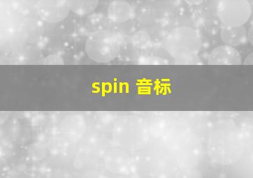 spin 音标